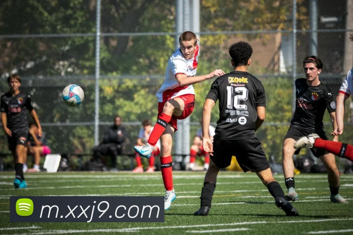 j9九游会国际平台生态图