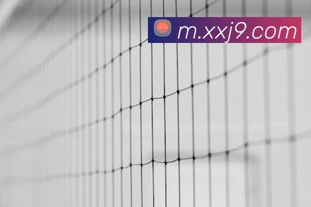 辅助工具 辅助工具